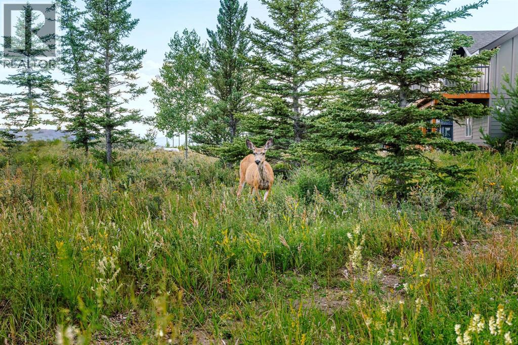 407 Cottageclub Grove Property Photo 44
