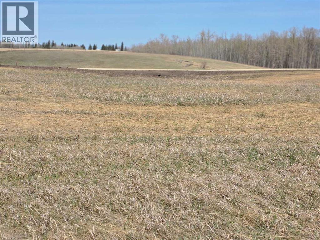 #6 C&e Trail North Of Blackfalds Property Photo 10
