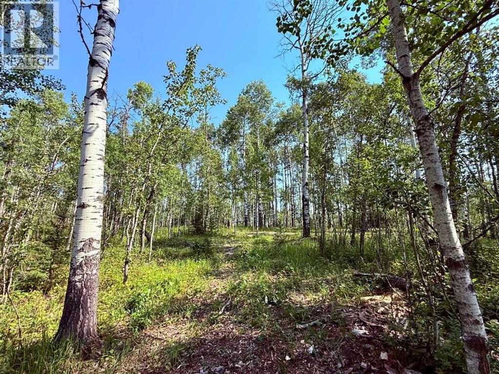29066 Range Road 52
