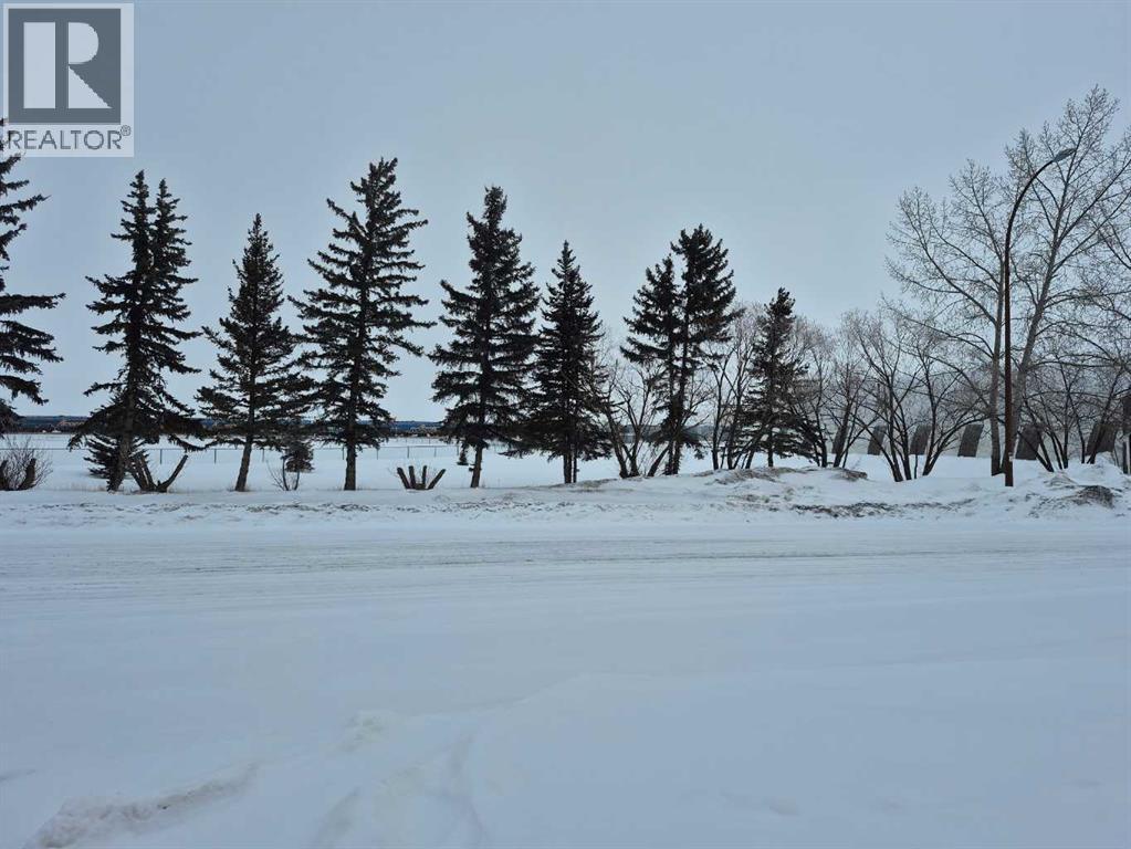 315 Haultain Avenue Property Photo 4