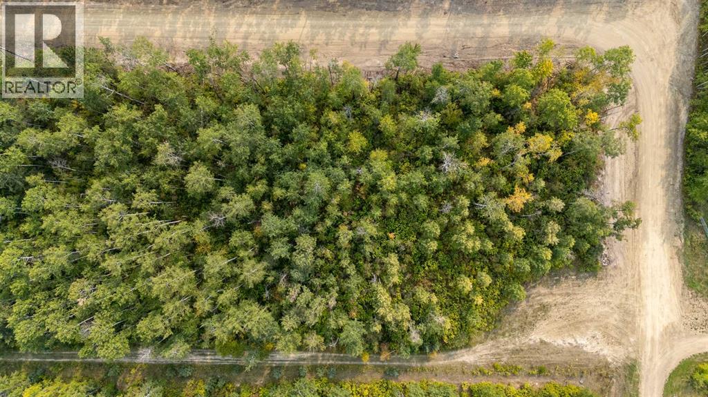 7 Crane Lane Murphy Lake Property Photo 3