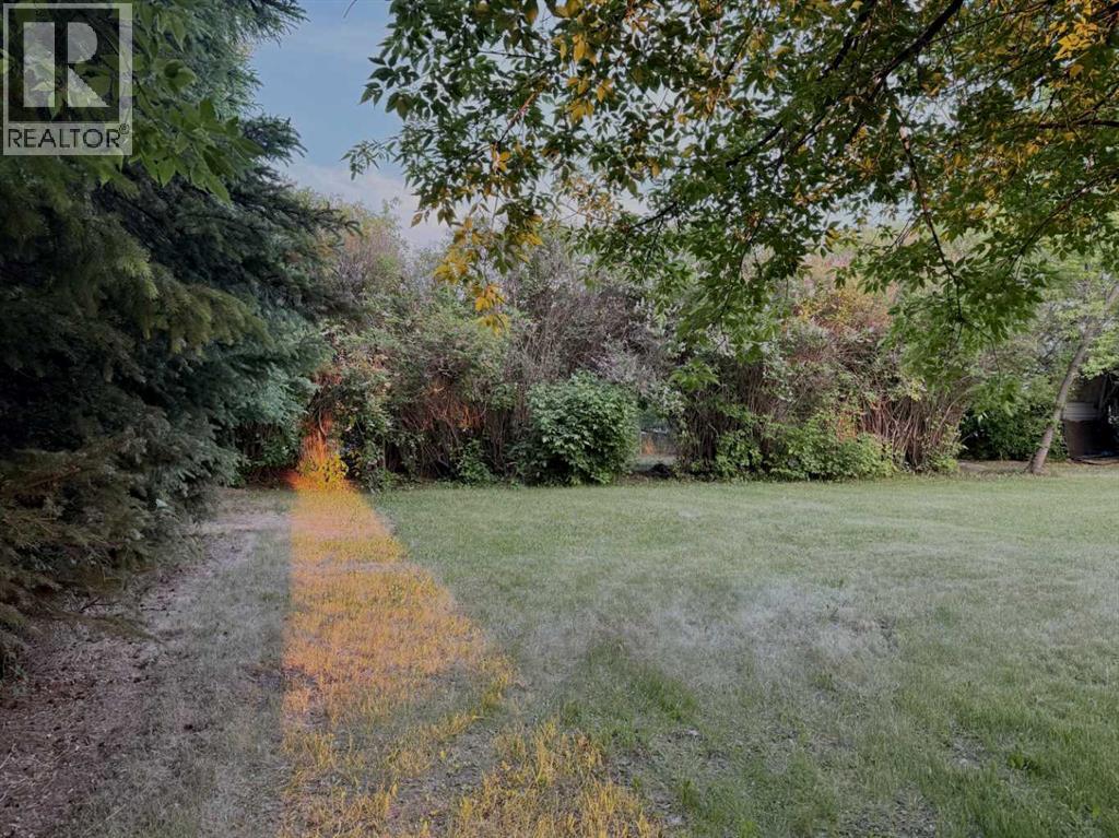 4621 46 Street Property Photo 5