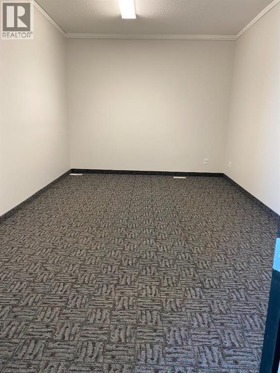 10920 84 Avenue Property Photo 16