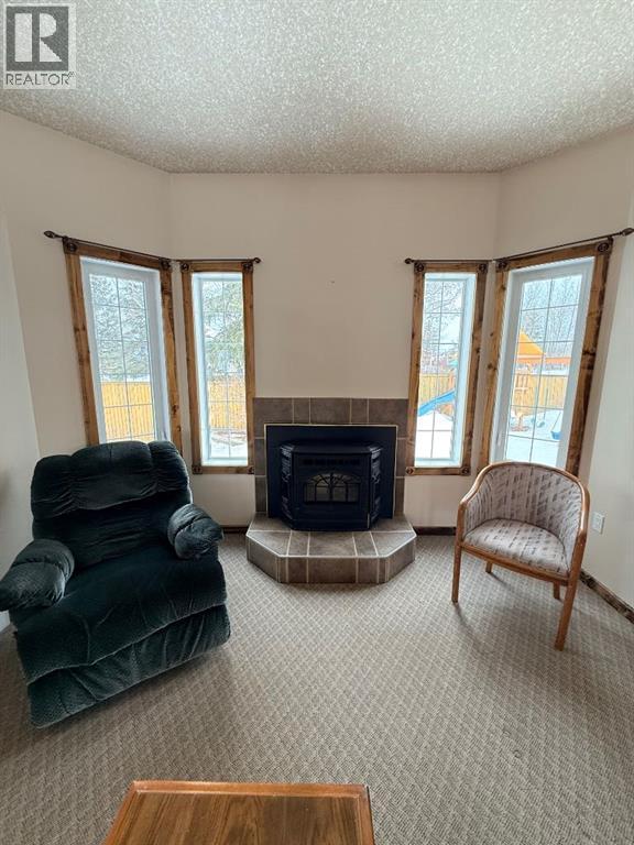 4501 52 Street Property Photo 22