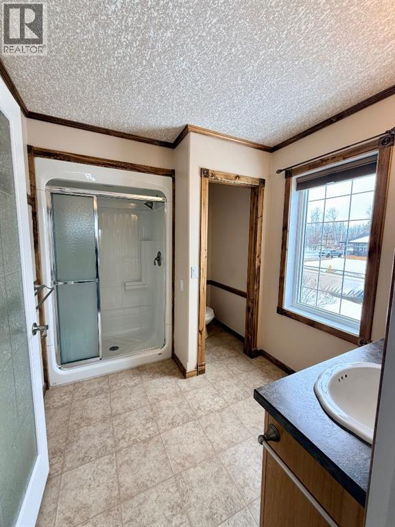4501 52 Street Property Photo 28