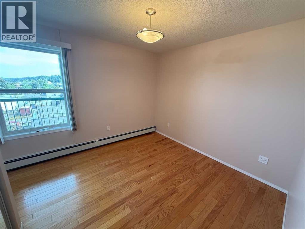 228 Pembina Avenue Property Photo 13