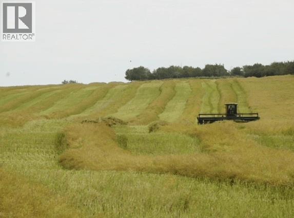 1085 Acres Property Photo 6