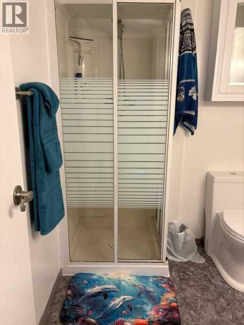 4418 54 Avenue Property Photo 36