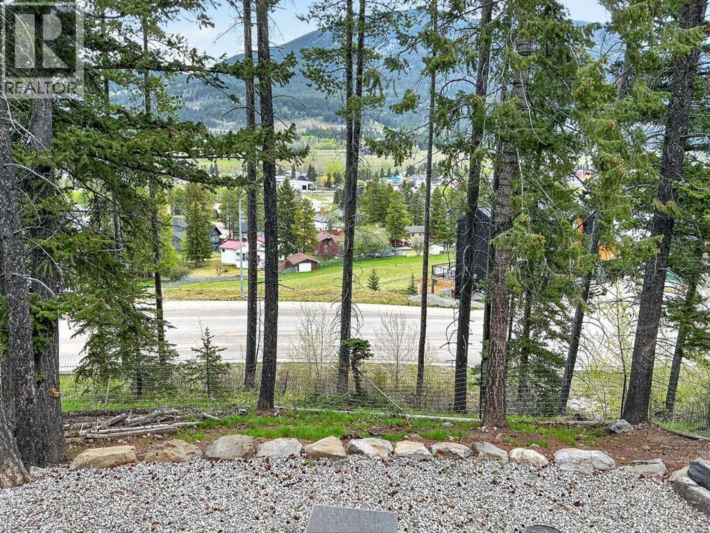209 Southmore Place Property Photo 8