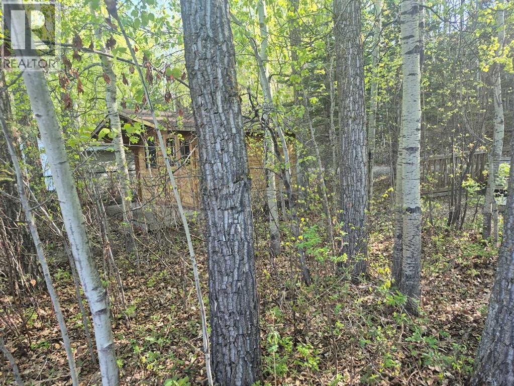 10046 Township Road 422 Property Photo 16