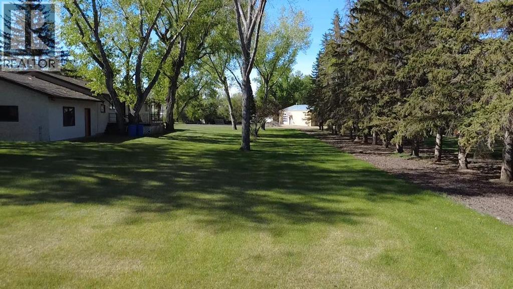 31 Larch Avenue Property Photo 39
