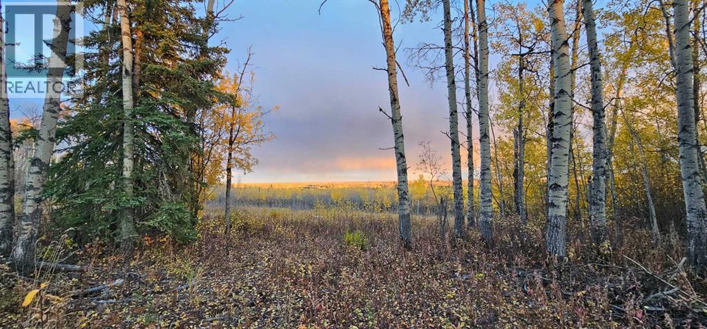 Se-27-79-9-w6 92 Range Road Property Photo 1