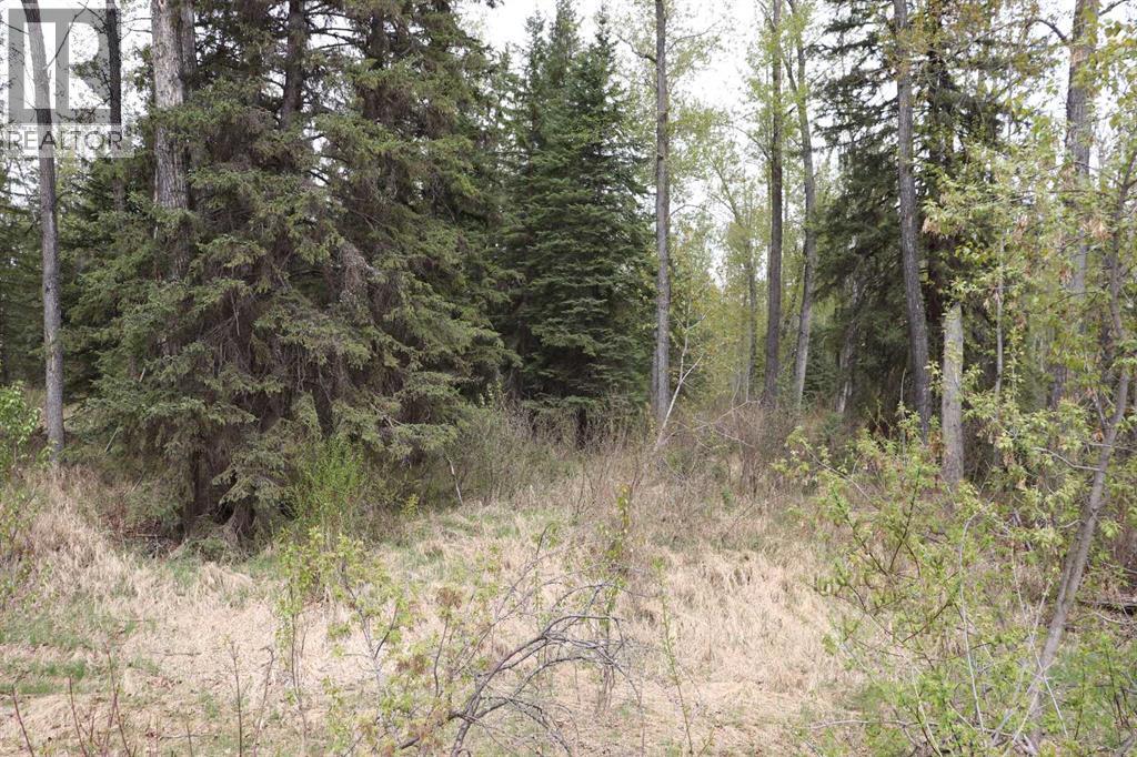 54525 Range Road 142b Property Photo 23