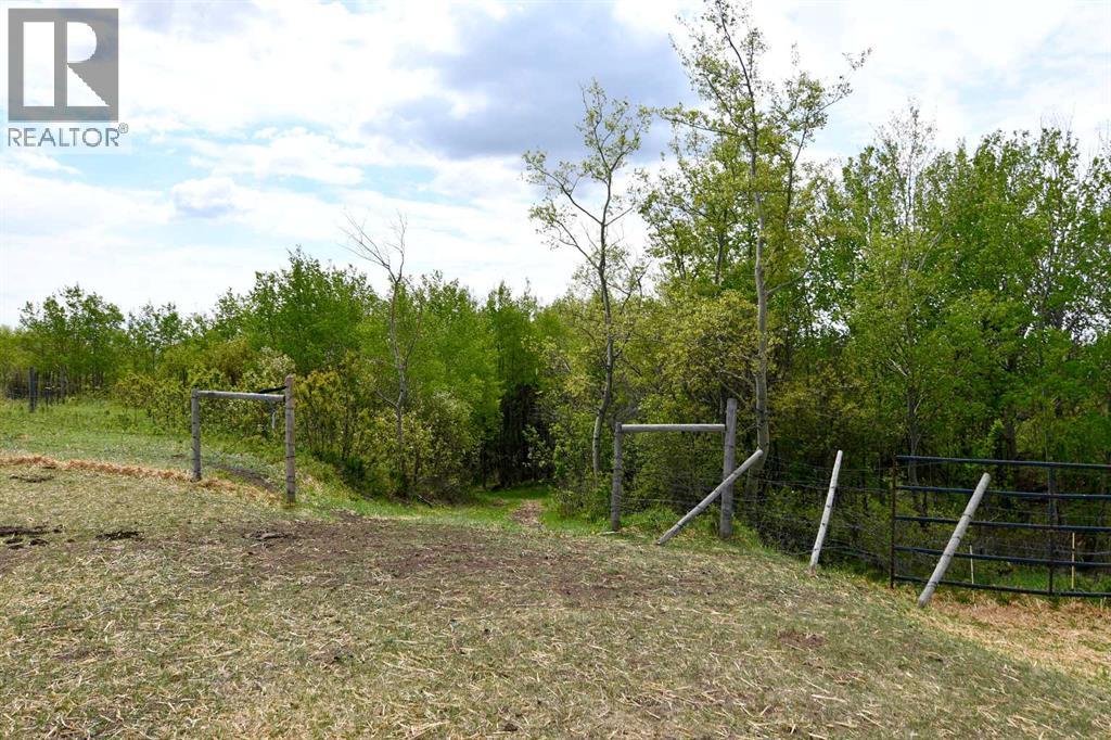 14123 Township Road 404 Property Photo 45