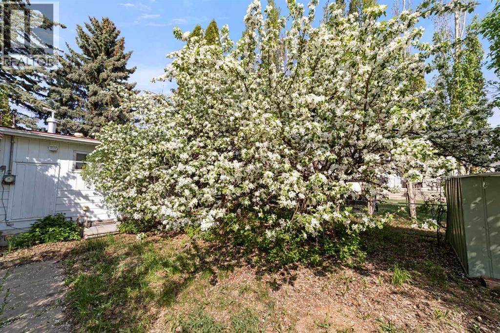 4911 54 Avenue Property Photo 5