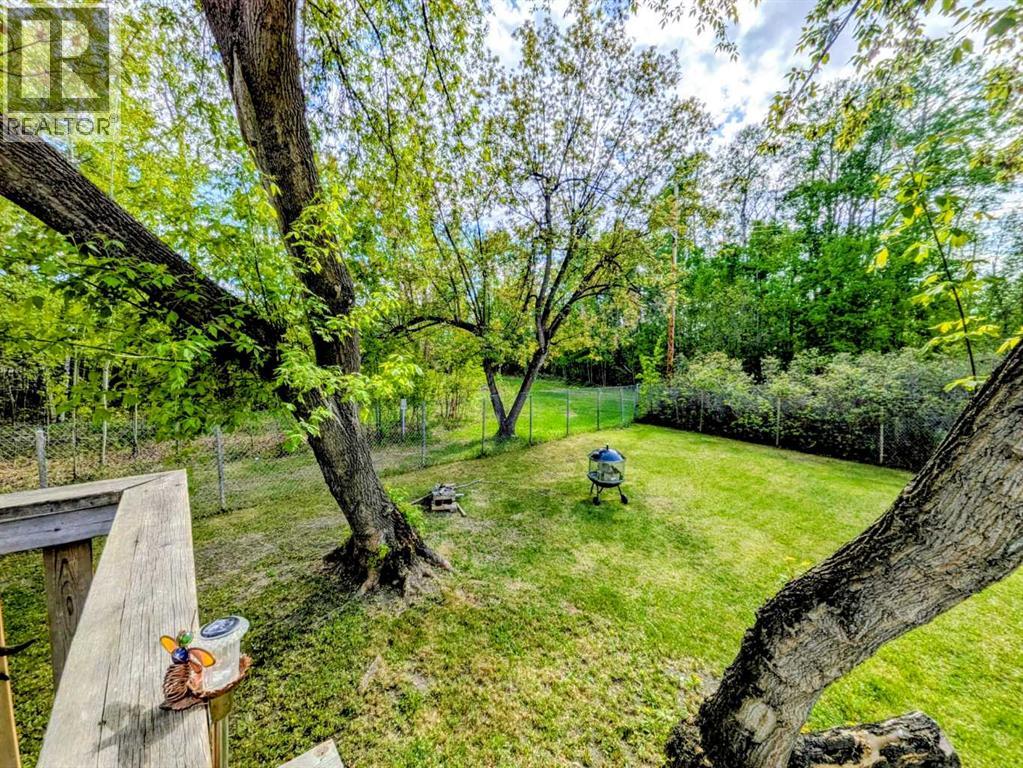 4814 52 Street Property Photo 35