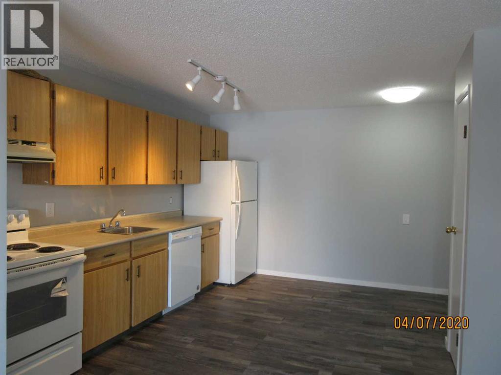 3007 57a Avenue Property Photo 3