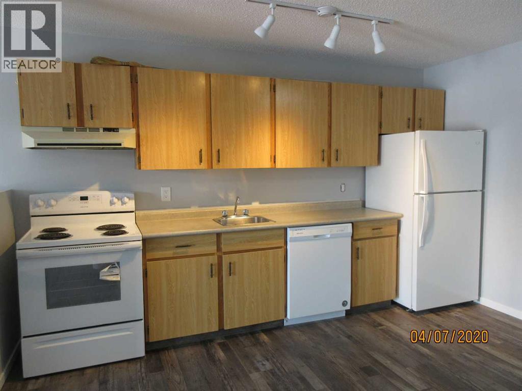 3007 57a Avenue Property Photo 4