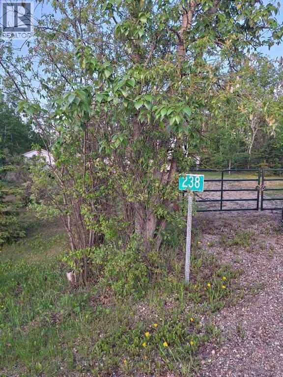 11120 Twp Rd 632a Property Photo 38