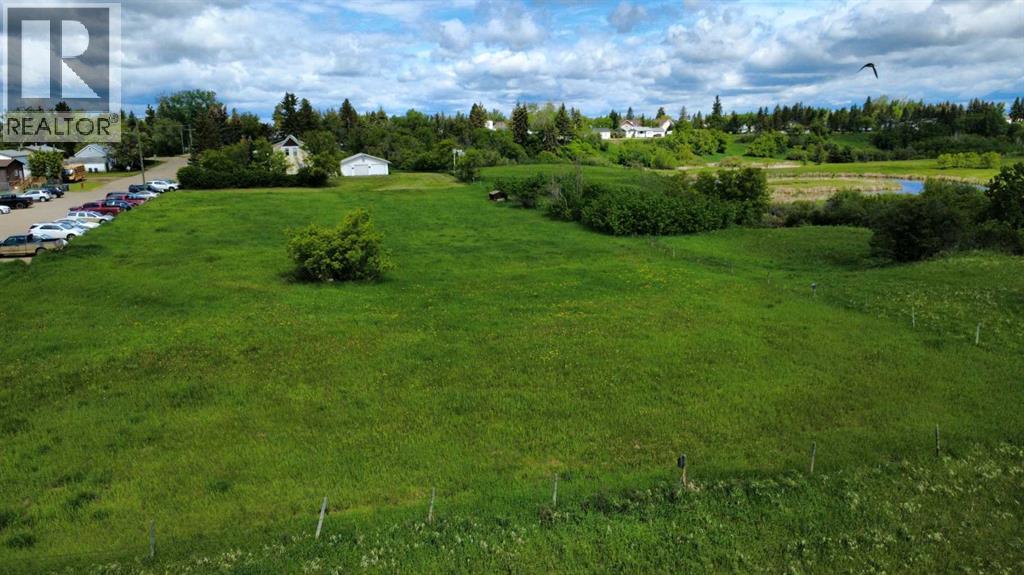 5205 52 Avenue Property Photo 5