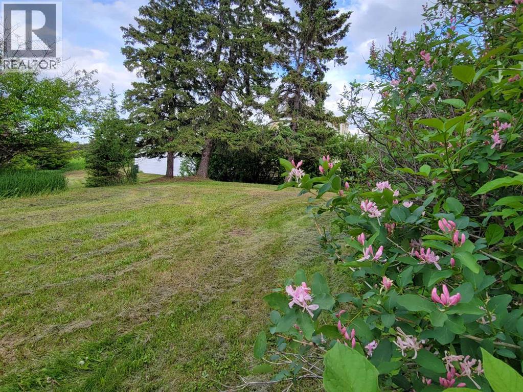 5205 52 Avenue Property Photo 41