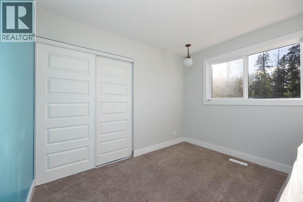 1041 Timberline Drive Property Photo 17