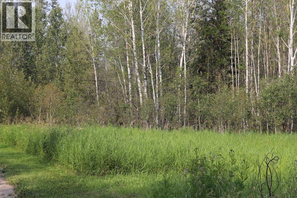 Ne-26-53-10 Hwy 16w Property Photo 5