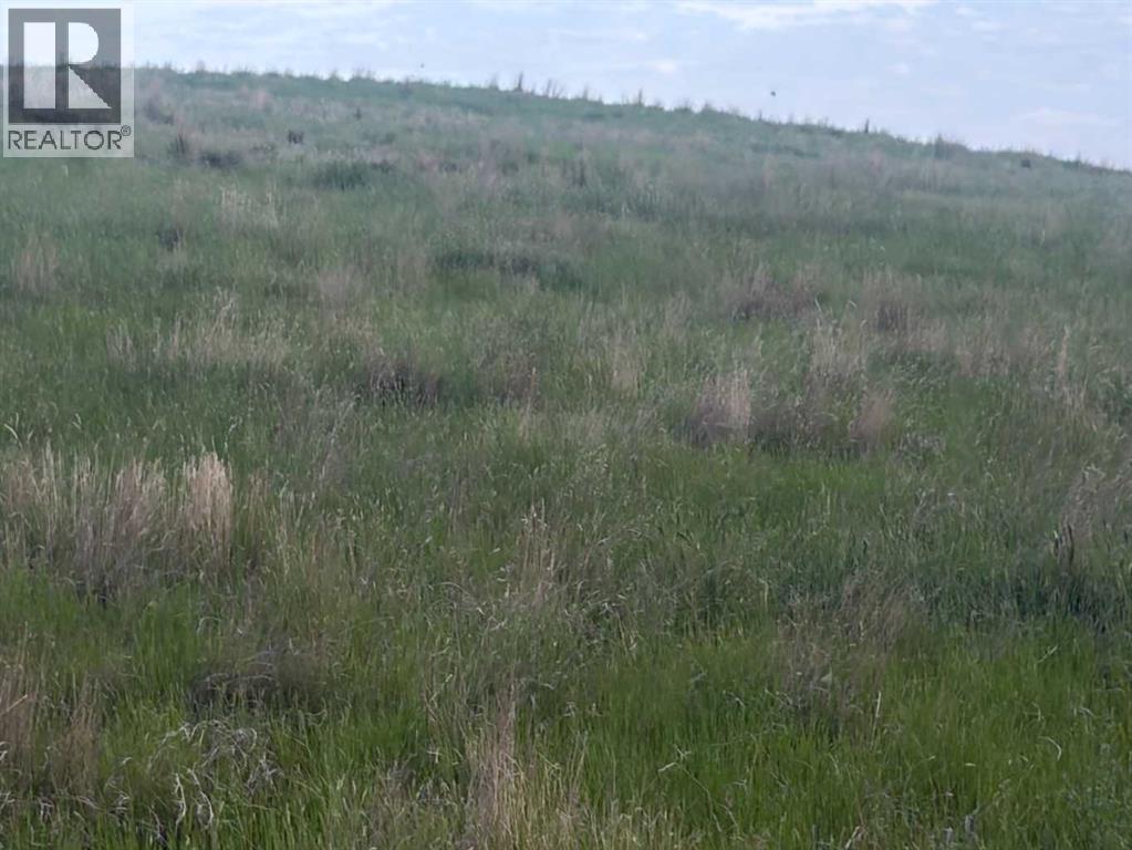 261 Range E Property Photo 6