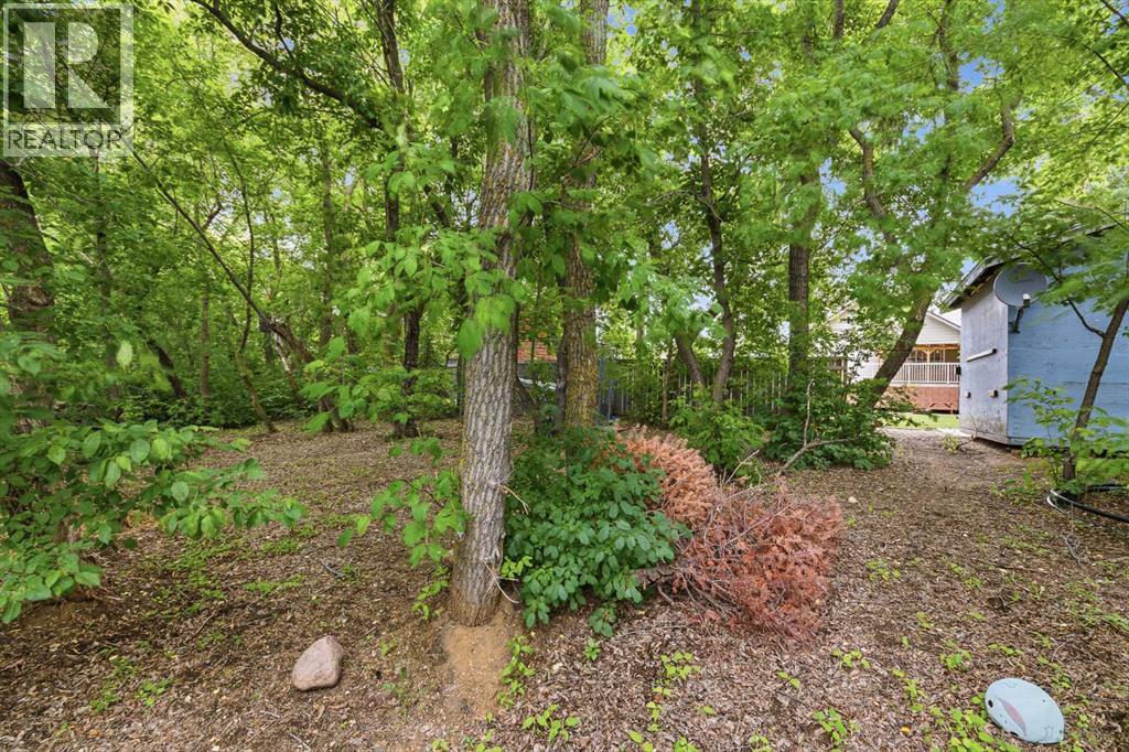 108 Walter Street Property Photo 13