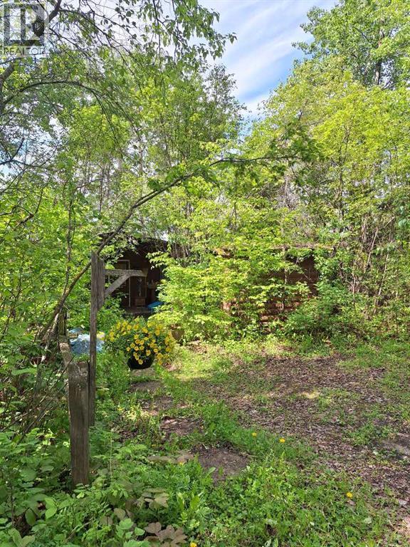13221 Twp Rd 680 Property Photo 34