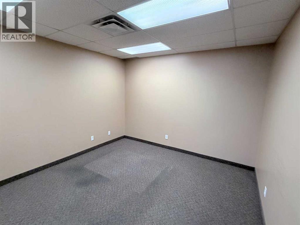 10211 88 Avenue Property Photo 21
