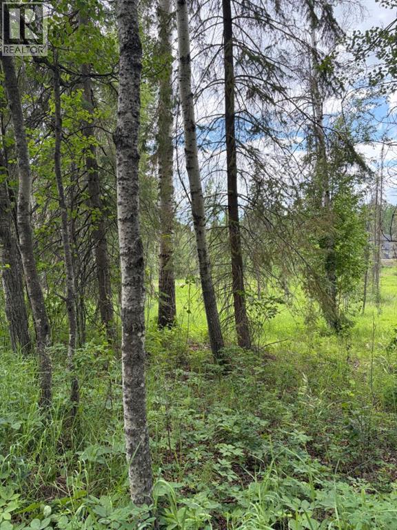 Lot 20 Block 1 Property Photo 9