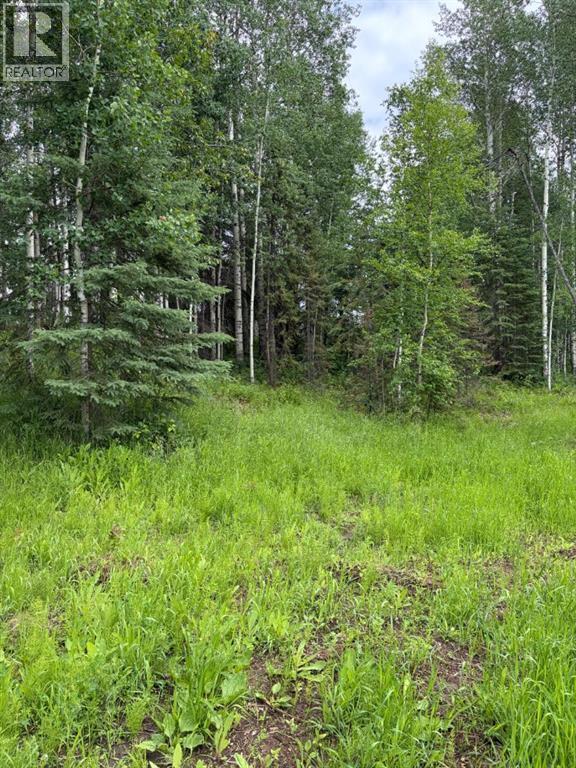 Lot 20 Block 1 Property Photo 11