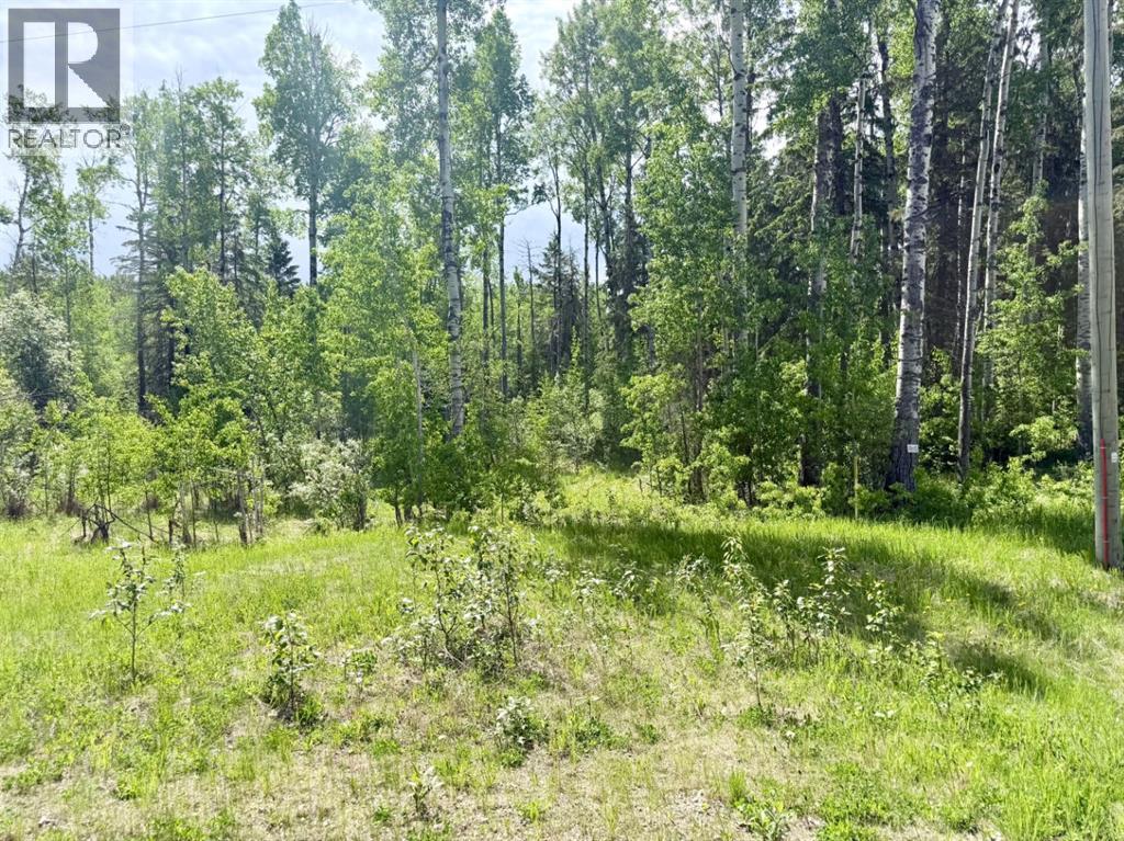 Block 2 Lot 8 Elk Ridge Estates Property Photo 2