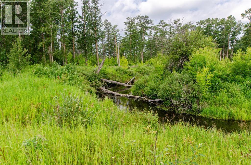 40518 Highway 821 Property Photo 13