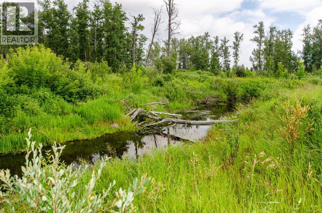 40518 Highway 821 Property Photo 14