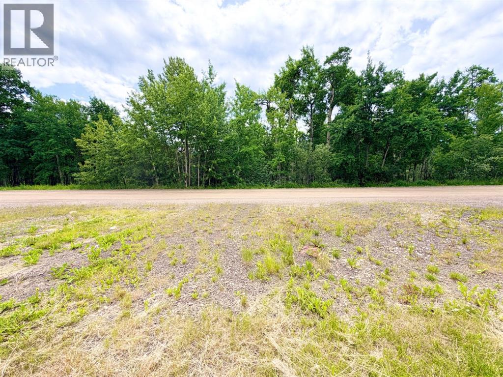 53 97 Avenue Property Photo 50