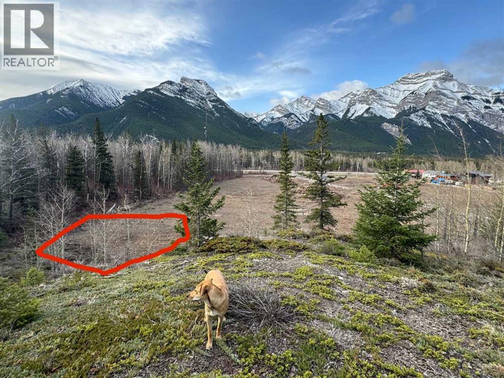 16 Yamnuska Place Property Photo 1