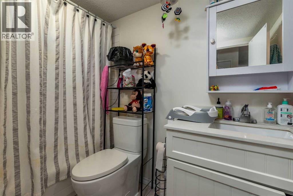 3007 57a Avenue Property Photo 11