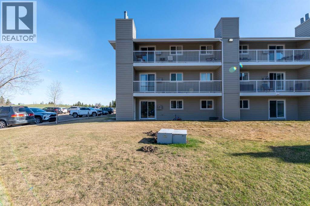 3007 57a Avenue Property Photo 19