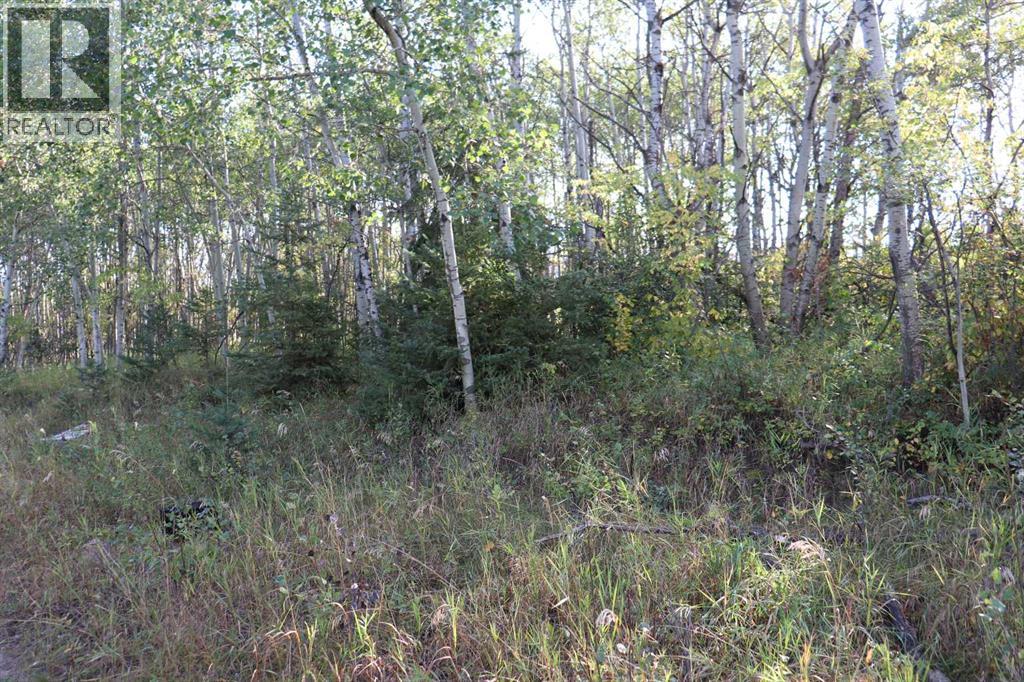 95011 42b Street Property Photo 7