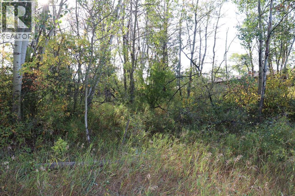 95011 42b Street Property Photo 8