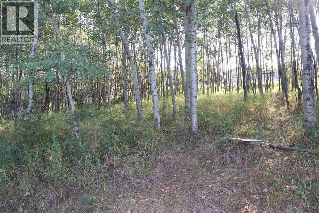 95011 42b Street Property Photo 9