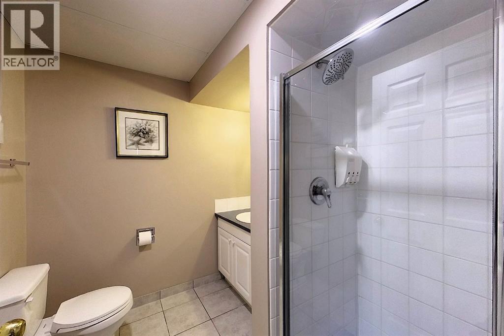 5245 16 Avenue Property Photo 48
