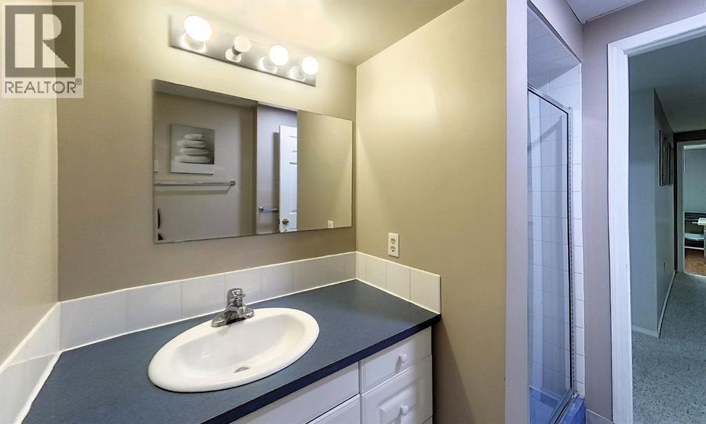 5245 16 Avenue Property Photo 49