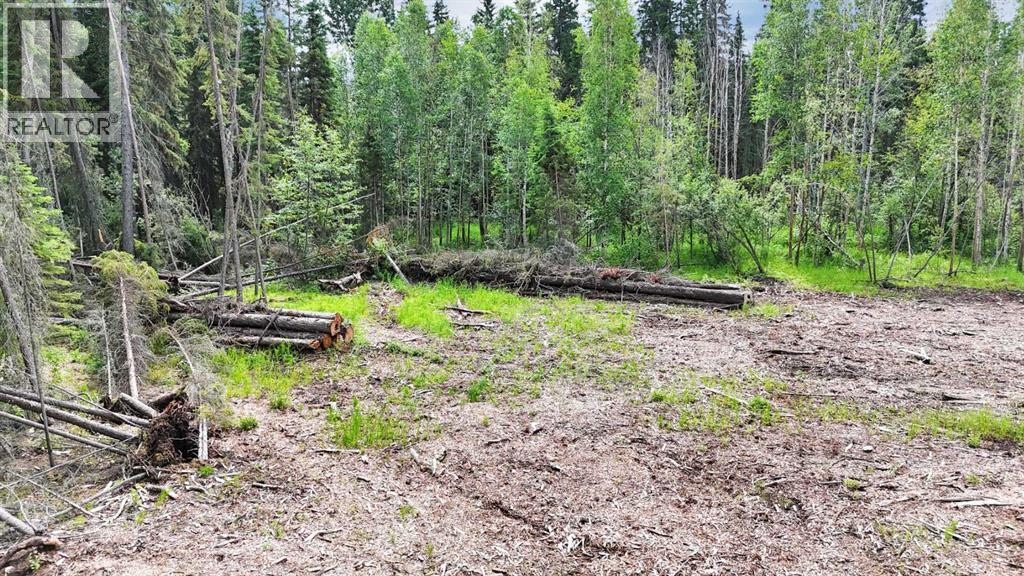 Range Road 85 Property Photo 15