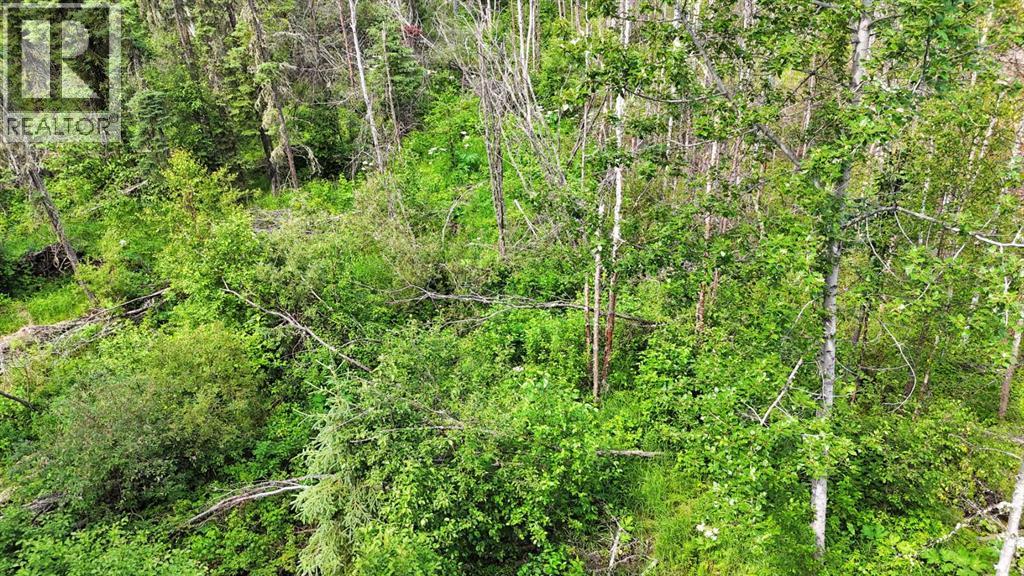 Range Road 85 Property Photo 18
