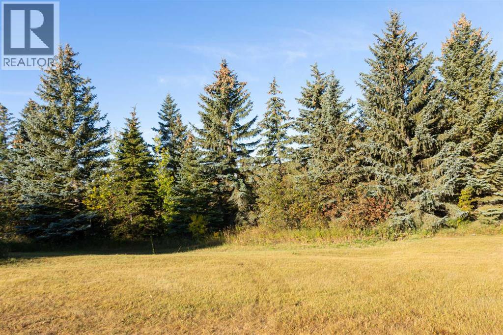 32384 Hwy 16 Property Photo 28