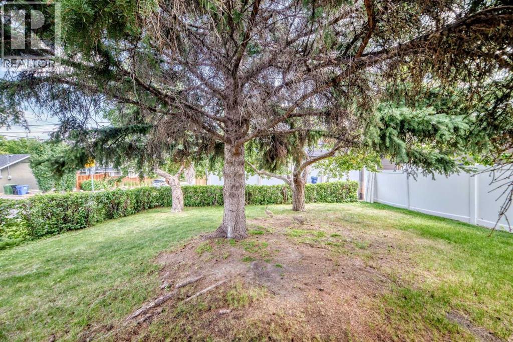 1735 38 Avenue Sw Property Photo 42