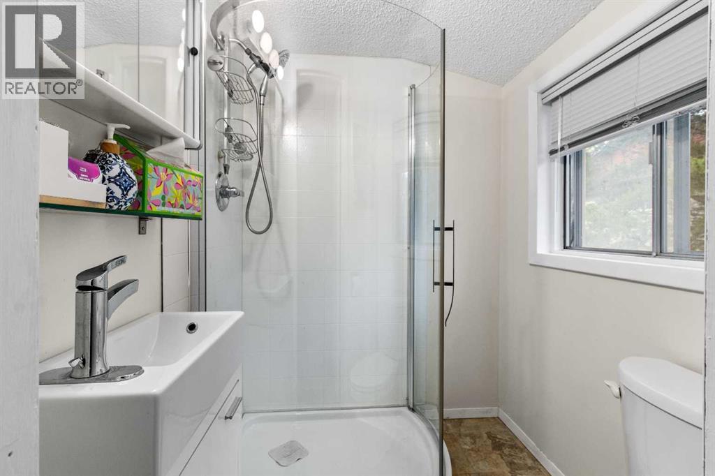 5224 50 Avenue Property Photo 18